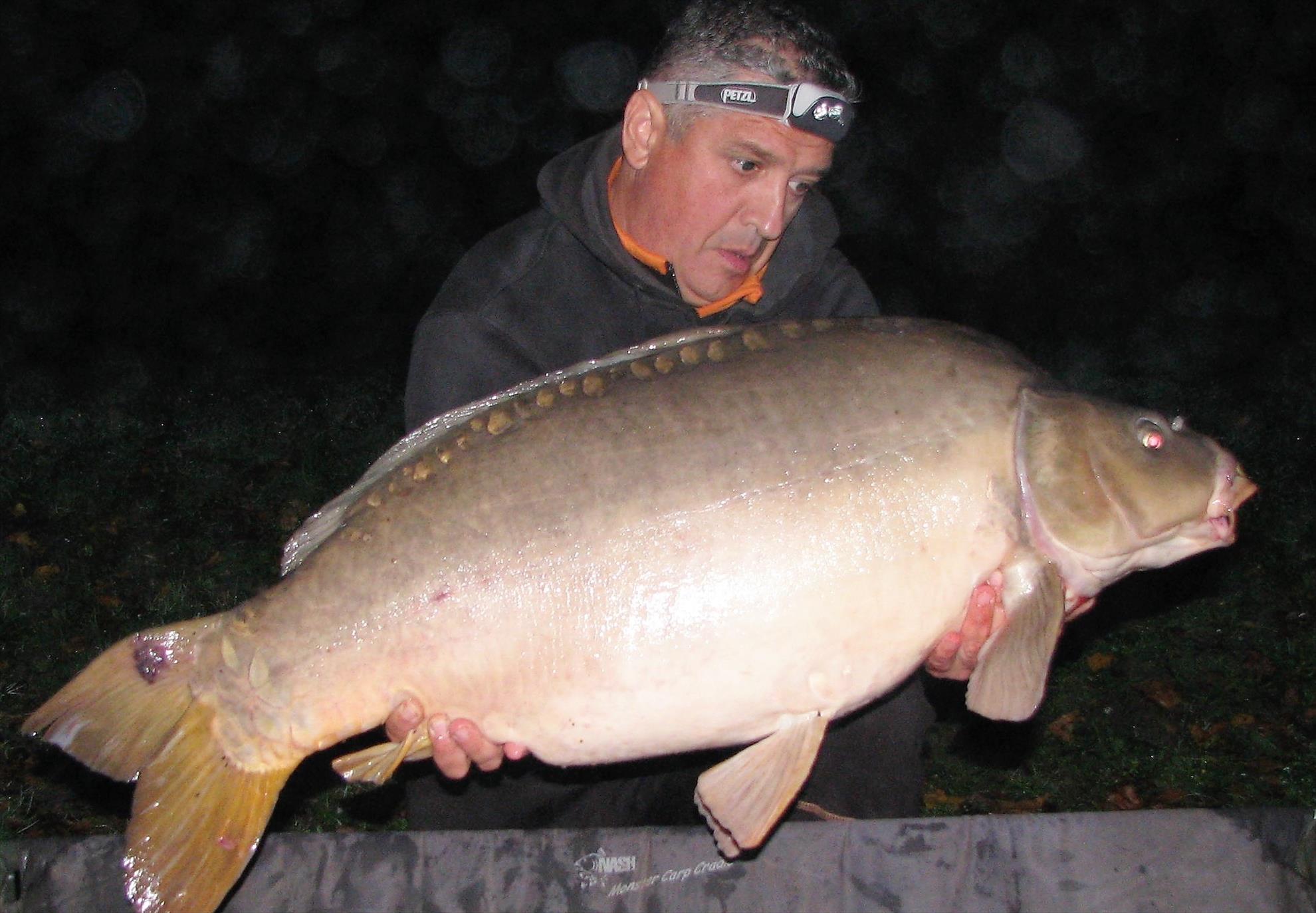 Pelagicevo 8 - 15 octombrie 2017 - img8.jpg